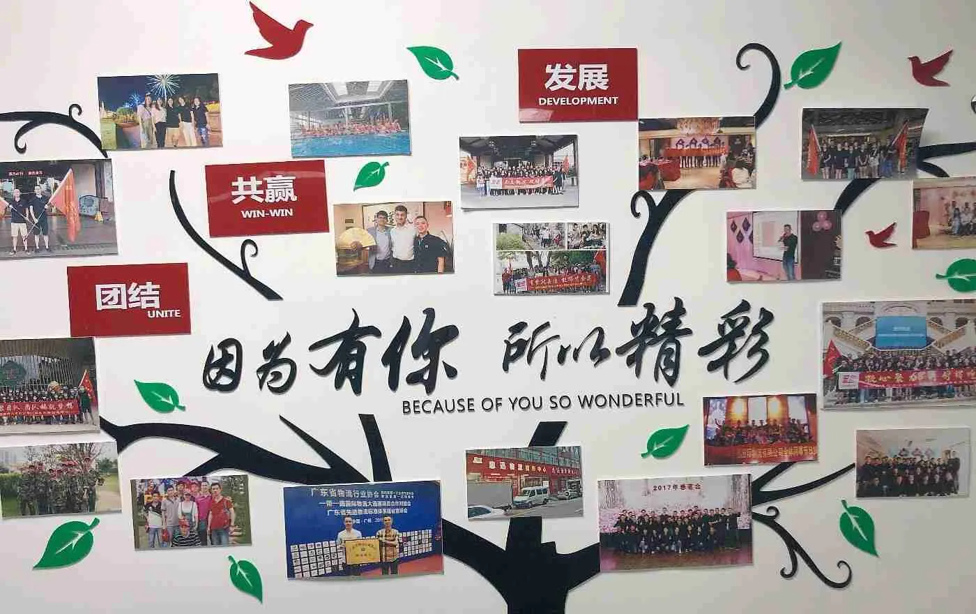 2024 Best Freight Forwarder from China to Australia 18 211751405729 HSD Freight Forwarder
