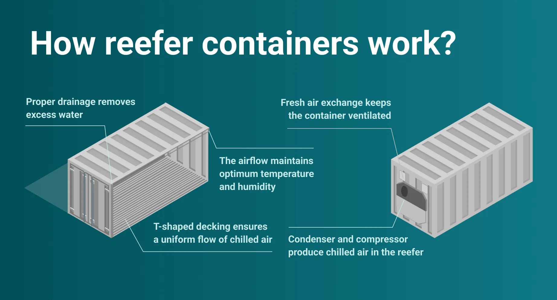 How reefer containers work 1 HSD Freight Forwarder